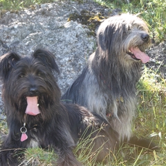 Urlaub im Allgäu (8)